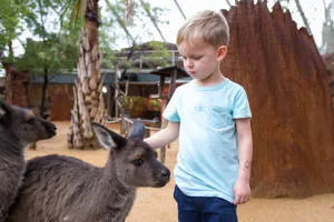 WLS Kangaroo And Child