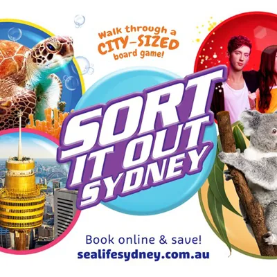 Cluss Sort It Out Sydney Kv