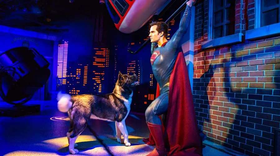 Superman Dog News