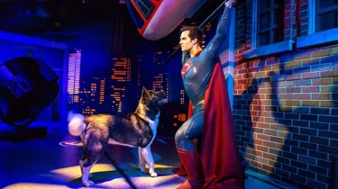 Superman Dog News