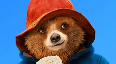 Paddington Bear News