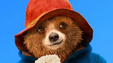 Paddington Bear News