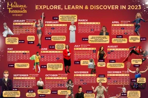 MTS Calendar Screenshot