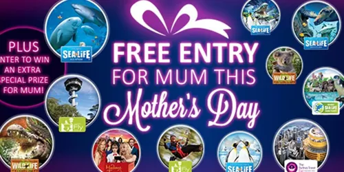 Mothers Day News