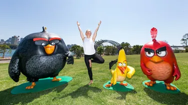 Angry Birds News 2