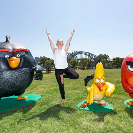 Angry Birds News 2