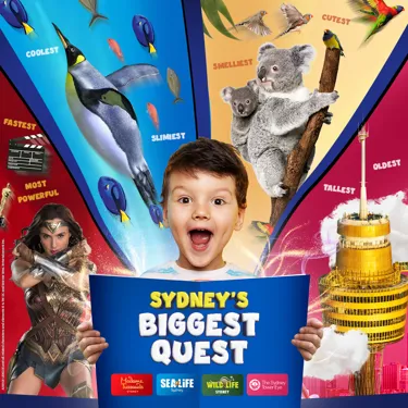 Sydney's Biggest Quest Key Visual