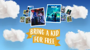 MAP Freekid Website Whatson V1
