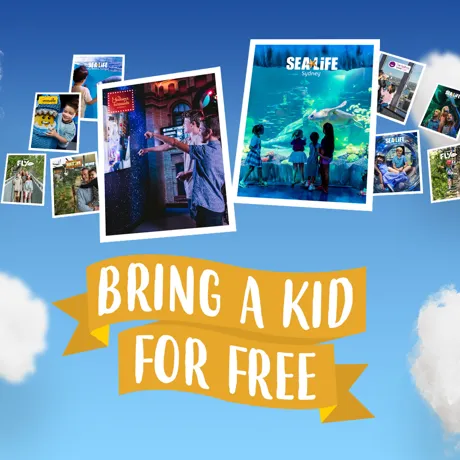 MAP Freekid Website Whatson V1