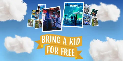 MAP Freekid Website Whatson V1
